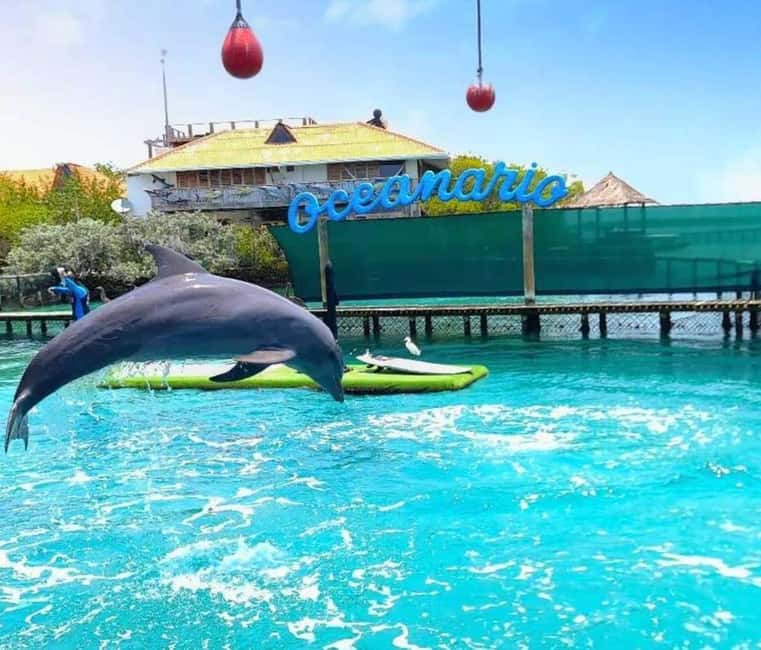 imagem n.6 de Cartagena: 6 paragens nas Ilhas Rosário, Oceanário, almoço e mergulho com snorkel atividade em Cartagena, carregada pelo fornecedor
