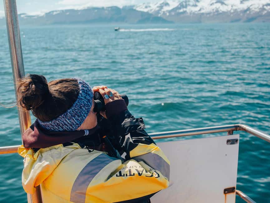 imagen n.º 10 de Húsavík: Excursión familiar y guiada de avistamiento de ballenas actividad en Norðurland Eystra, subida por el proveedor