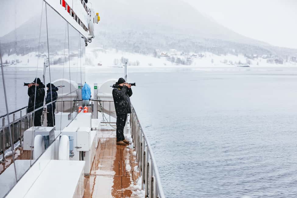 image n.12 of Tromsø: Arctic Fjord Cruise With Stop On Land At Fish Racks activity in Barents Sea, uploaded by supplier
