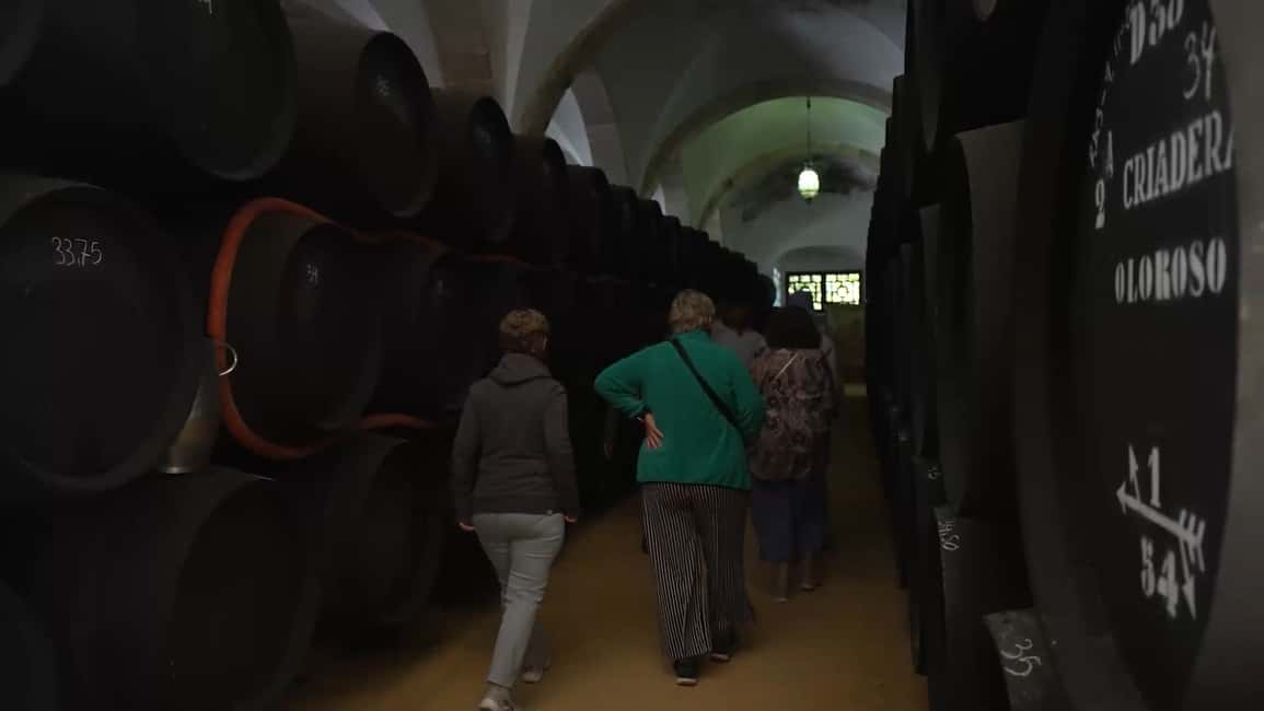 imagen n.º 19 de Desde Sevilla: Jerez, Cádiz y los Caballos Andaluces actividad en Jerez de la Frontera, subida por el proveedor