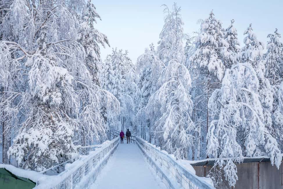 bild nr.5 av Rovaniemi: Ranua Zoo Wildlife Park Tour med upphämtning från hotell aktivitet i Norra Österbotten, uppladdad av arrangören