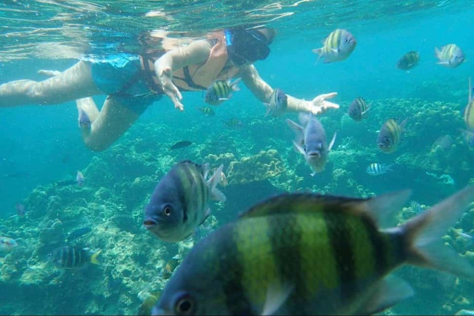image n.15 of Langkawi: Half-Day Private Kilim River Mangrove Boat Tour activity in Kuah, uploaded by supplier