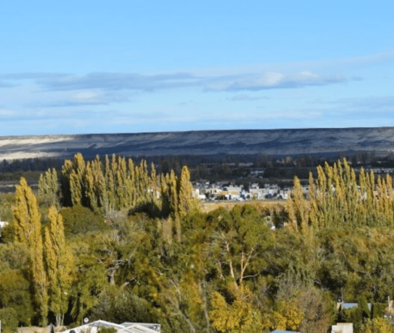 Bild Nr. 3 von Tal + Paläontologisches Museum für Kreuzfahrtpassagiere Aktivität in Chubut Provinz, hochgeladen vom Anbieter