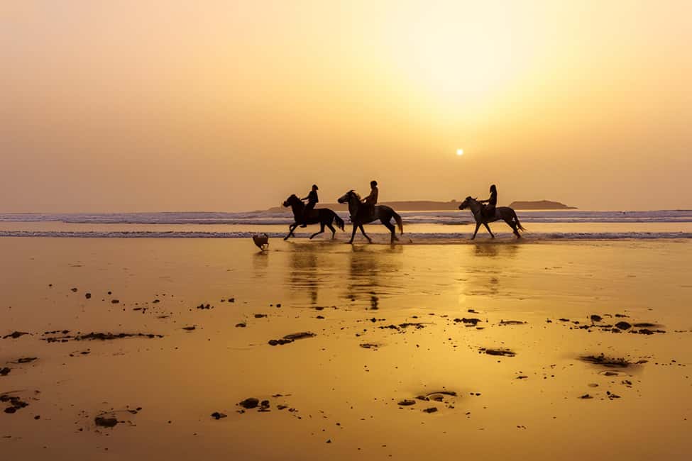 image n.10 of From Marrakech: Essaouira day Trip with camel, horse & quad activity in Essaouira, uploaded by supplier