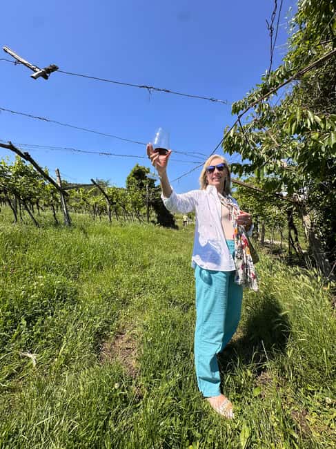 Immagine nº 71 di Il tour completo dell'Amarone: 2 cantine, pranzo e approfondimento sull'Amarone attività a Verona, caricata dal fornitore