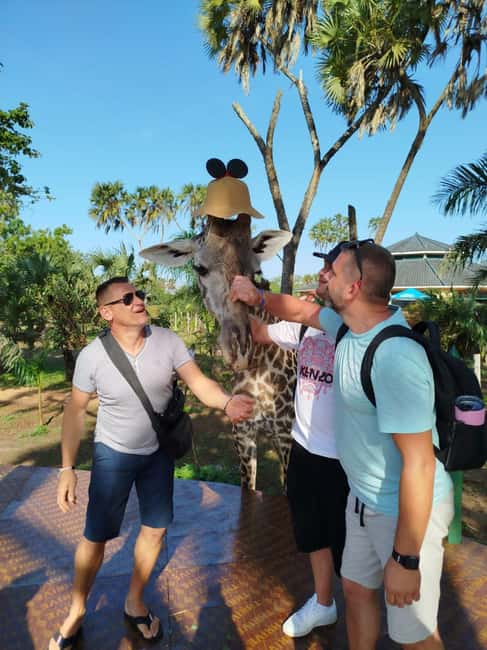 image n.2 of giraffe feeding activity in Diani, uploaded by supplier