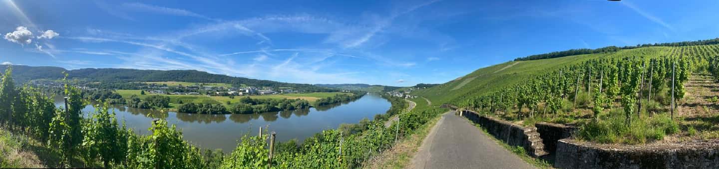 image n.5 of Lieser: covered wagon ride, the rolling wine tasting with picnic basket activity in Bernkastel-Kues, uploaded by supplier