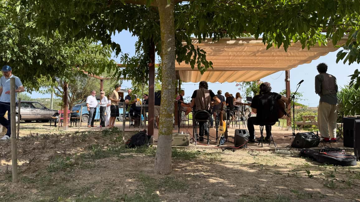 bild nr.3 av Weinsonntag på Mallorca aktivitet i Balearerna, uppladdad av arrangören