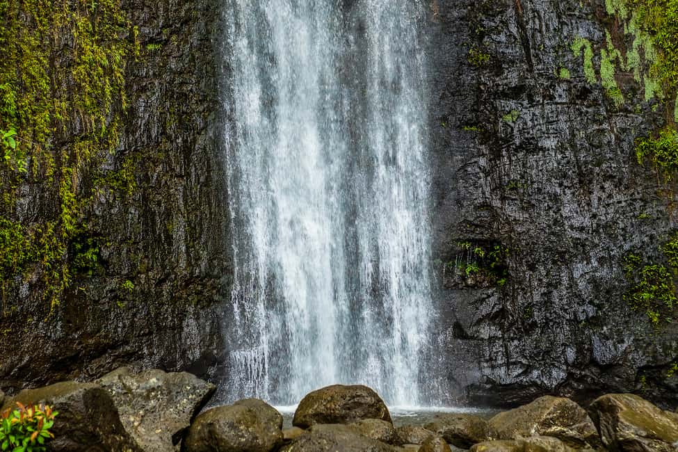 Immagine nº 2 di Escursione autoguidata a piedi nella natura e alle cascate attività a Honolulu, caricata dal fornitore