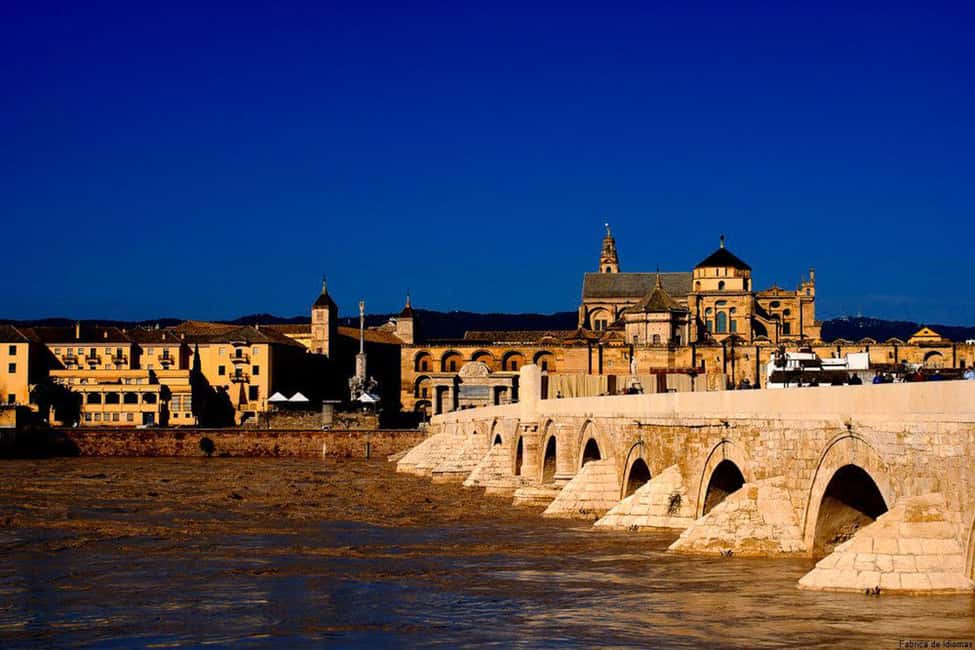 image n.8 of From Seville: Cordoba Full-Day Tour with Tickets Included activity in Córdoba, uploaded by supplier