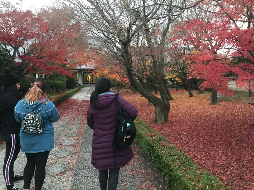 image n.26 of Cycle Kyoto's Hidden Gems & Gion Stroll activity in Kyoto, uploaded by supplier