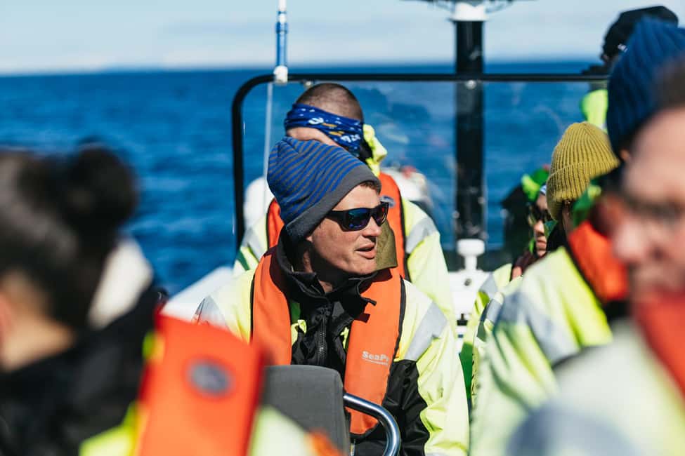 bild nr.4 av Reykjavik: Valskådningstur med RIB-båt aktivitet i Reykjavik, uppladdad av arrangören