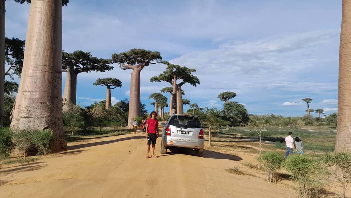 Bild Nr. 10 von 5-Tage ab Tana: Tsiribihina Fluss Kanu & Baobab-Allee Aktivität in Dorf Kirindy, hochgeladen vom Anbieter