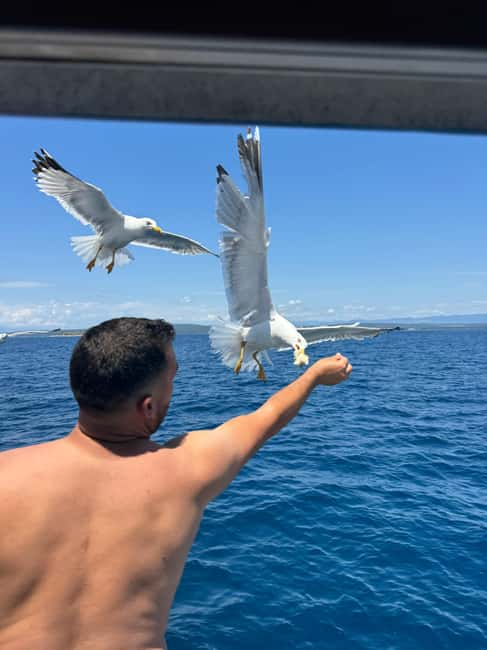Immagine nº 13 di Krk: Baia d'Oro, Grotta Azzurra e Crociera delle 4 Isole attività a Ponte, caricata dal fornitore