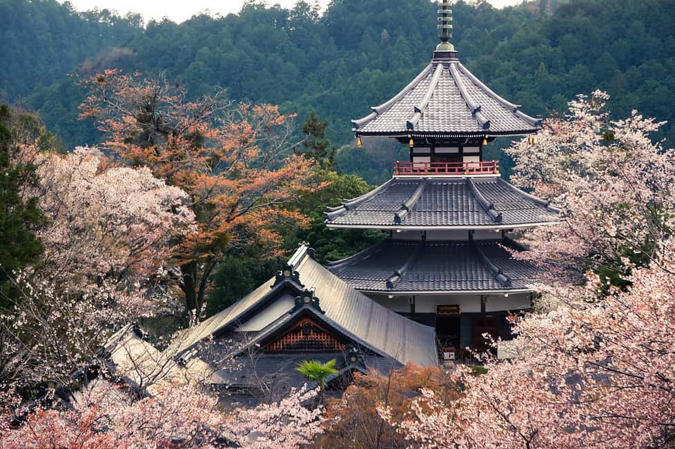 image n.3 of Fukuoka: Beppu Hells HotSpring, Frog Temple & Yufuin DayTrip activity in Beppu, uploaded by supplier