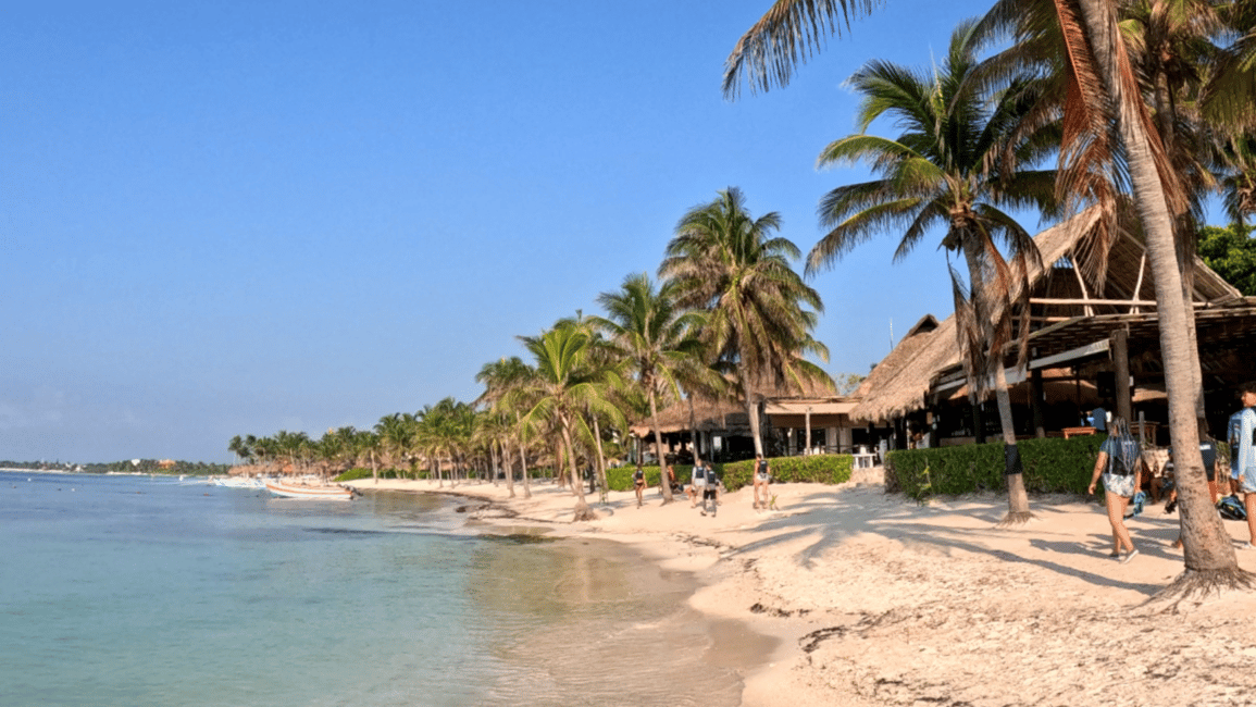 afbeelding n.11 van Vanuit Tulum: Tulum, Cenote en schildpaddenzwemtour in Akumal activiteit in Tulum, geüpload door aanbieder