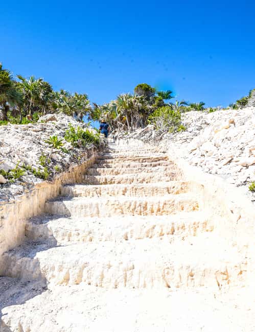 image n.73 of Nassau: 3 Islands Tour, Snorkel, Pig Beach, Turtles & Lunch activity in Berry Islands, uploaded by supplier
