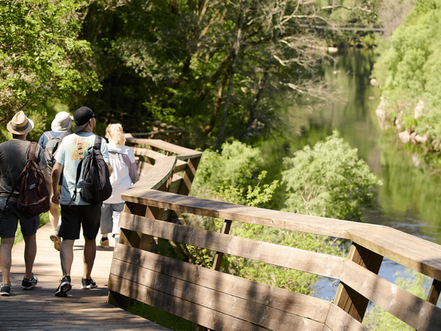 image n.10 of From Porto: Arouca 516 and Paiva Walkways Guided Day Trip activity in Arouca, uploaded by supplier