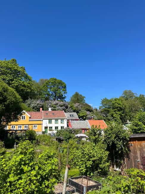 image n.23 of Oslo: Norwegian Food Tour & Hidden Gems City Walk activity in Oslo, uploaded by supplier