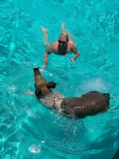 Image N°7 de Nassau : Découvrez l'île d'Exuma et nagez avec des cochons. activité à Exumas, publiée par le prestataire