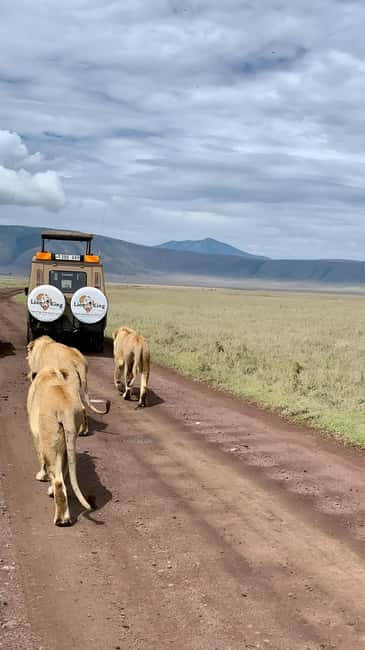 image n.3 of Tanzania: 7-Day Luxury Safari Tour with Hot Air Balloon Ride activity in Arusha (Region), uploaded by supplier