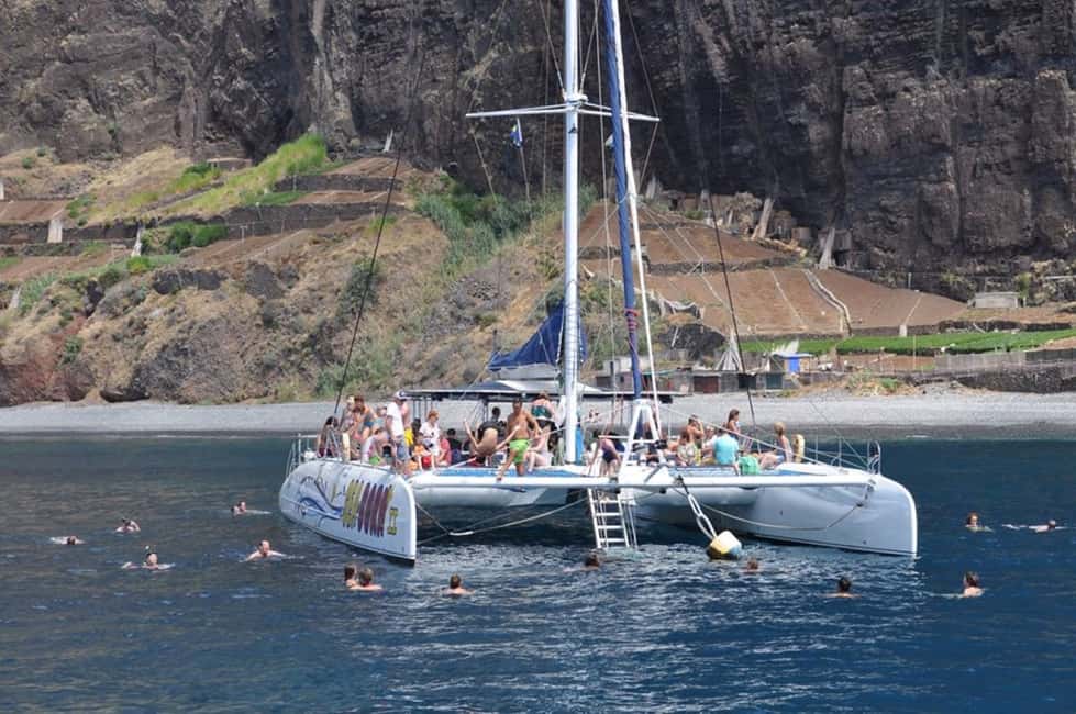 imagem n.4 de Funchal: Cruzeiro de observação de baleias e golfinhos em catamarã atividade em Câmara de Lobos, carregada pelo fornecedor