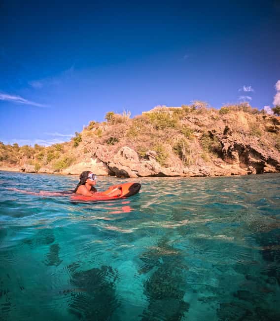 afbeelding n.28 van Curaçao: Playa Piskado Seabob Avontuur (Zeeschildpadden) activiteit in Curaçao, geüpload door aanbieder