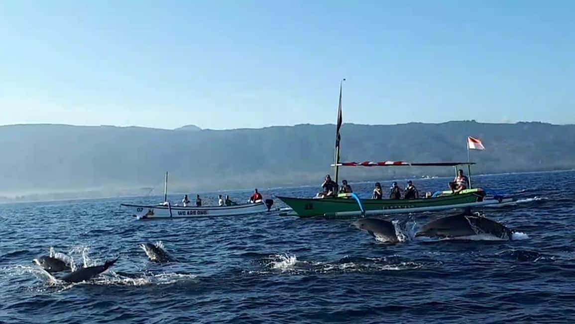 image n.2 of Bali dolphin, swim & snorkeling in Lovina Bali activity in Lovina, uploaded by supplier