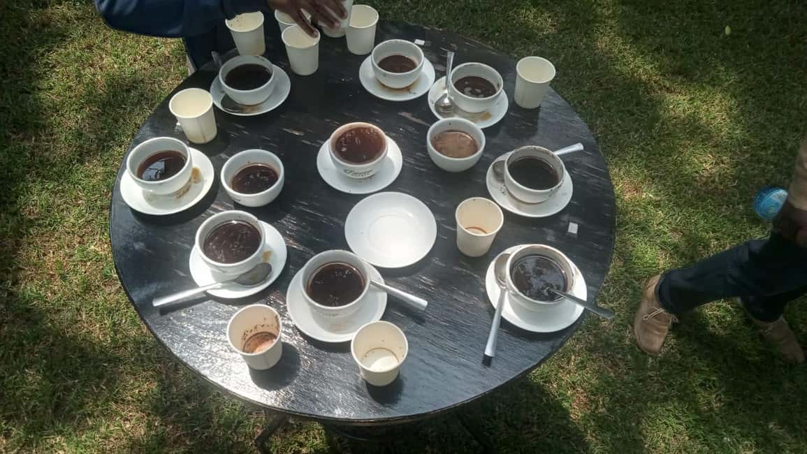 image n.66 of Coffee Farm Tour (Fairview) activity in Kiambu, uploaded by supplier