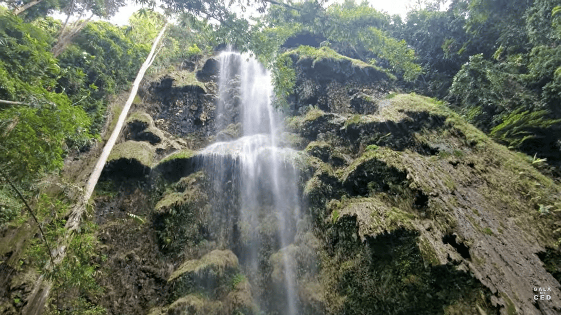 imagem n.16 de Oslob: Tubarões-baleia, Cataratas de Tumalog e Sumilon Trio Adventure atividade em Oslob, carregada pelo fornecedor