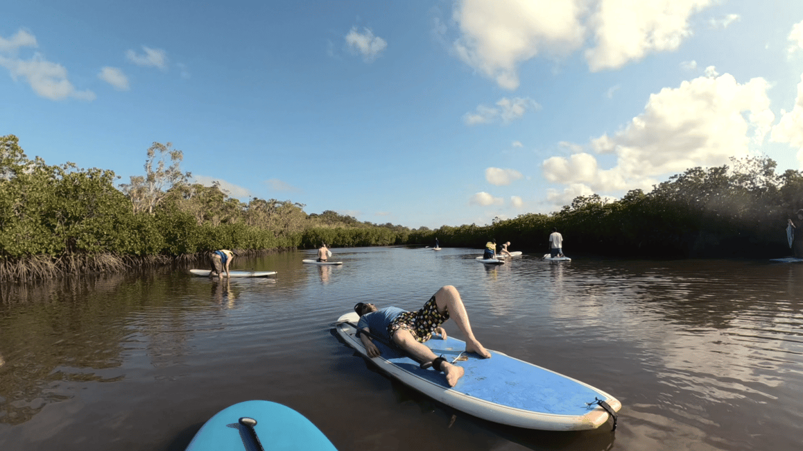 image n.11 of Noosa Stand Up Paddle & Mangrove Tunnel Tour (Self Guided) activity in Noosaville, uploaded by supplier