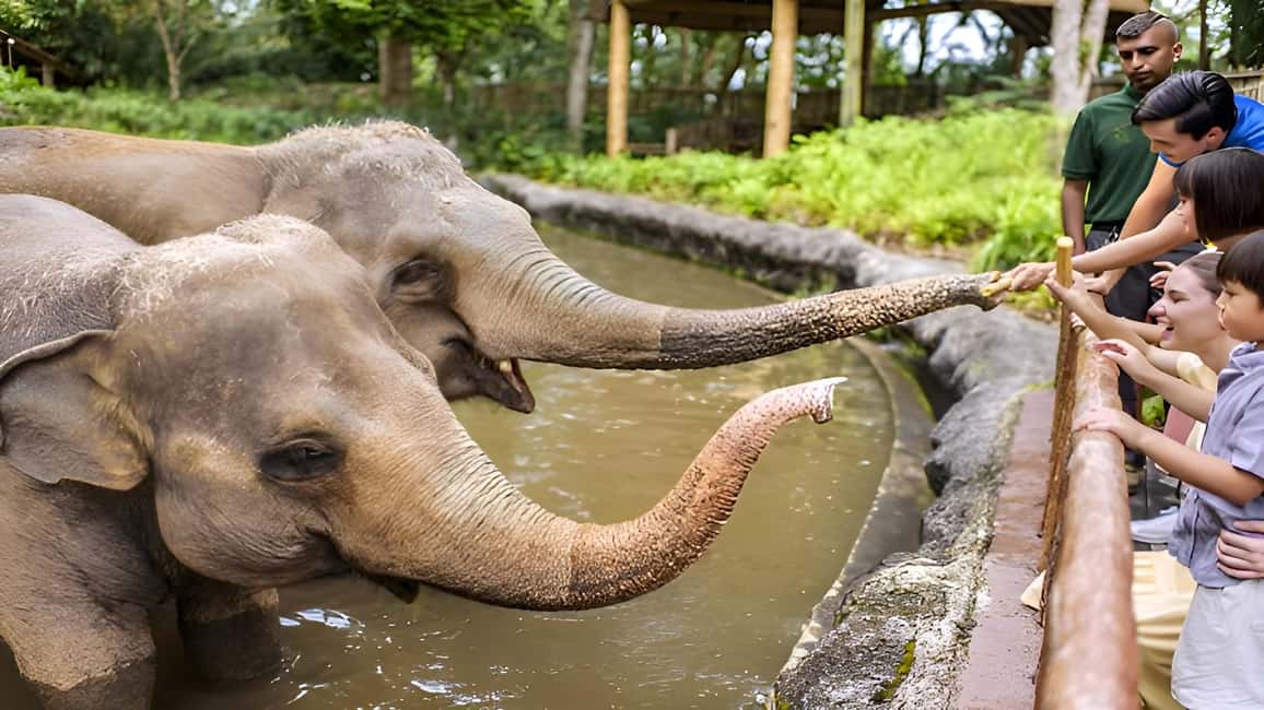 imagen n.º 11 de Zoo de Singapur: Ticket electrónico de entrada de 1 día actividad en Singapur, subida por el proveedor