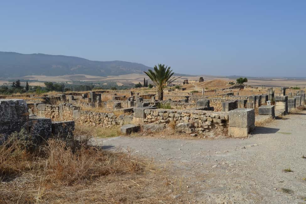 billede nr.56 af aktiviteten Dagstur fra Fes til Volubilis via Meknes og Moulay Idriss i Meknès, uploadet af udbyder