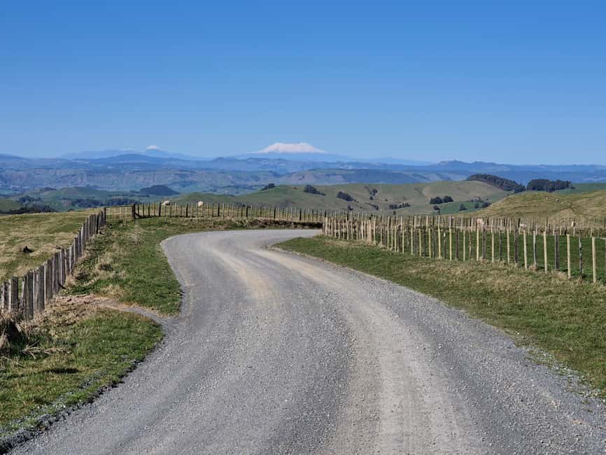 image n.2 of Explore Middle-Earth: Caves to Cinematic Landscapes activity in Waitomo, uploaded by supplier