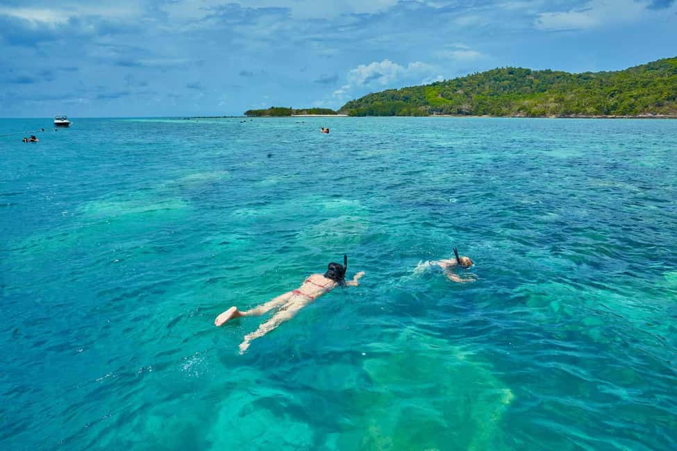 image n.30 of Koh Samui: Pig Island Tour by Speedboat with Snorkeling activity in Gulf of Thailand, uploaded by supplier