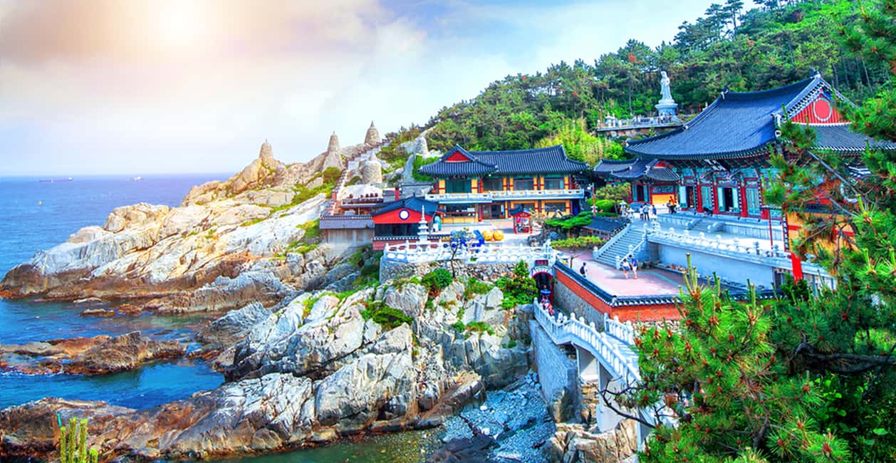 image n.16 of Busan: A Well-Rounded Small-Group Tour with Certified Guide activity in Busan, uploaded by supplier