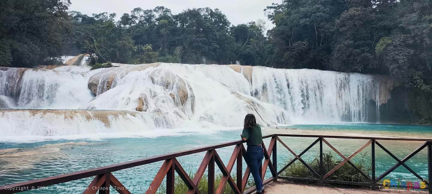 image n.7 of From Palenque: Misol-Ha & Agua Azul Waterfalls Day Tour activity in Chiapas, uploaded by supplier