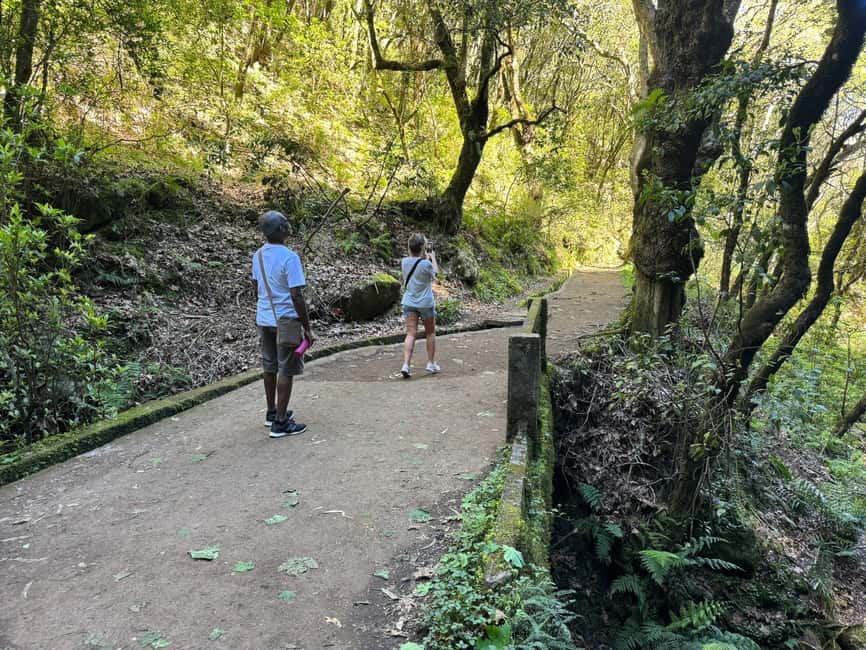 image n.3 of Madeira: Pico do Arieiro & Laurissilva Forest - East tour activity in Madeira, uploaded by supplier