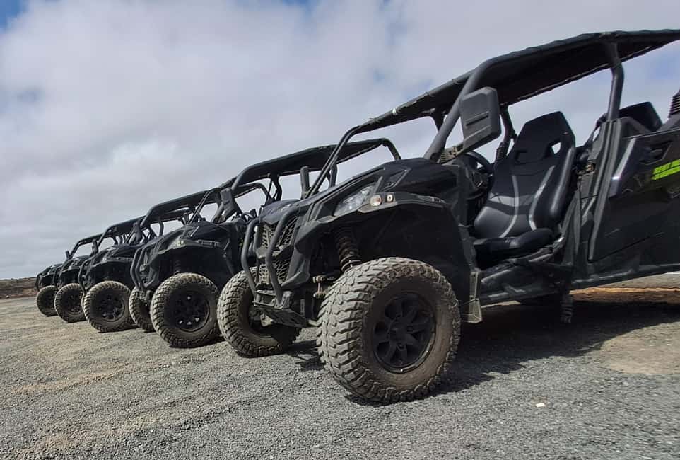 image n.3 of Lanzarote: Mix tour Guided Buggy Volcano Tour 4 seater activity in El Toyo, uploaded by supplier