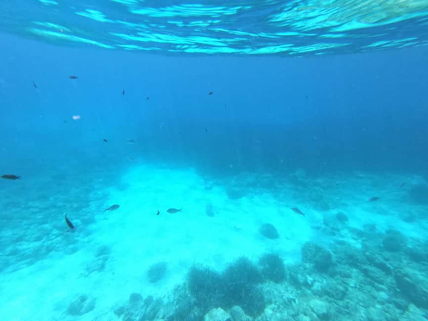 Obraz nr 11 z atrakcji Hvar: Prywatna wycieczka żaglówką z pływaniem i snorkelingiem w Dalmacja, przesłany przez organizatora