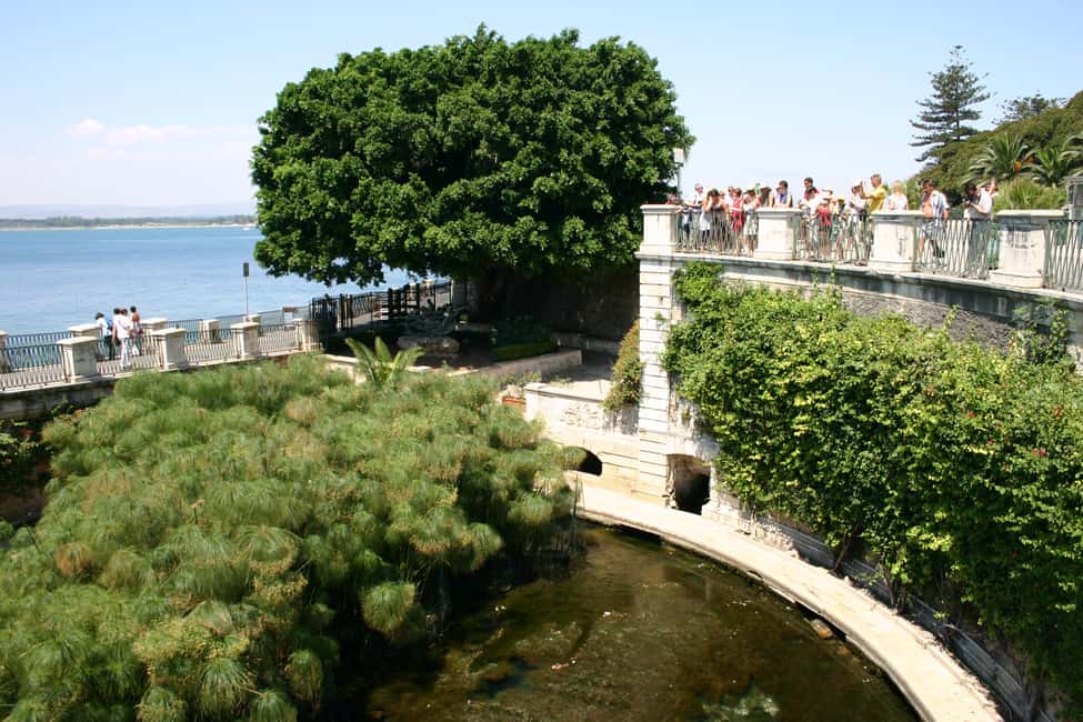 image n.9 of Syracuse: Ortigia Classic Walking Tour activity in Syracuse, uploaded by supplier