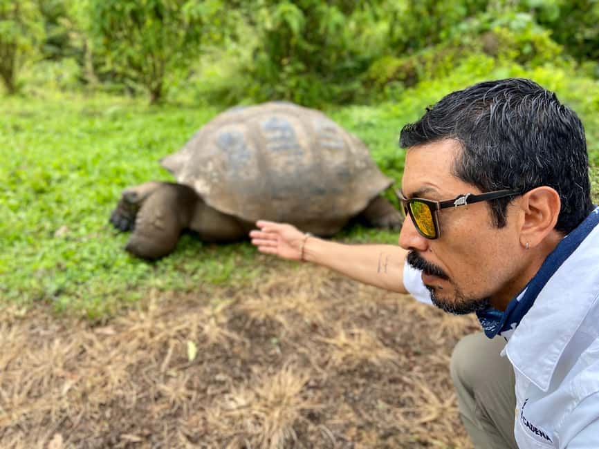 image n.1 of Puerto Ayora: The Galapagos Giant Tortoise Shared Experience activity in Galápagos Islands, uploaded by supplier