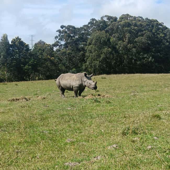 image n.36 of Addo Elephant Park and Kragga Kamma Game Park Combo activity in Gqeberha, uploaded by supplier