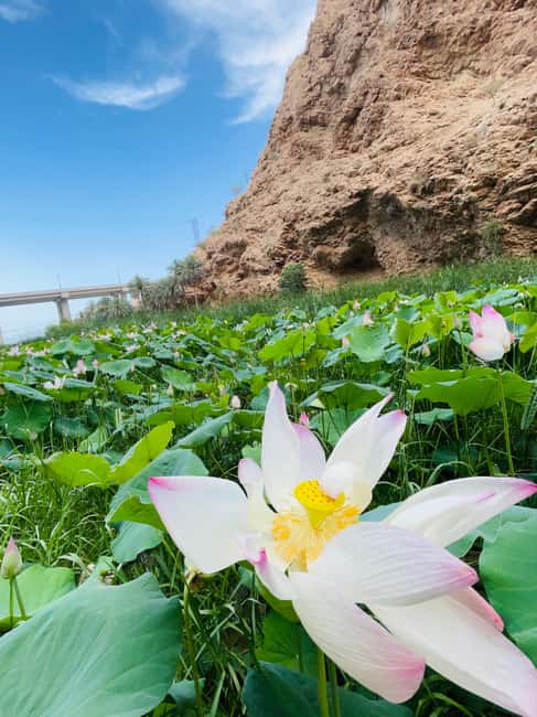Immagine nº 20 di Muscat: escursione di un'intera giornata a Wadi Shab, grotta romantica e sinkhole attività a Regione al-Sharqiyya, caricata dal fornitore
