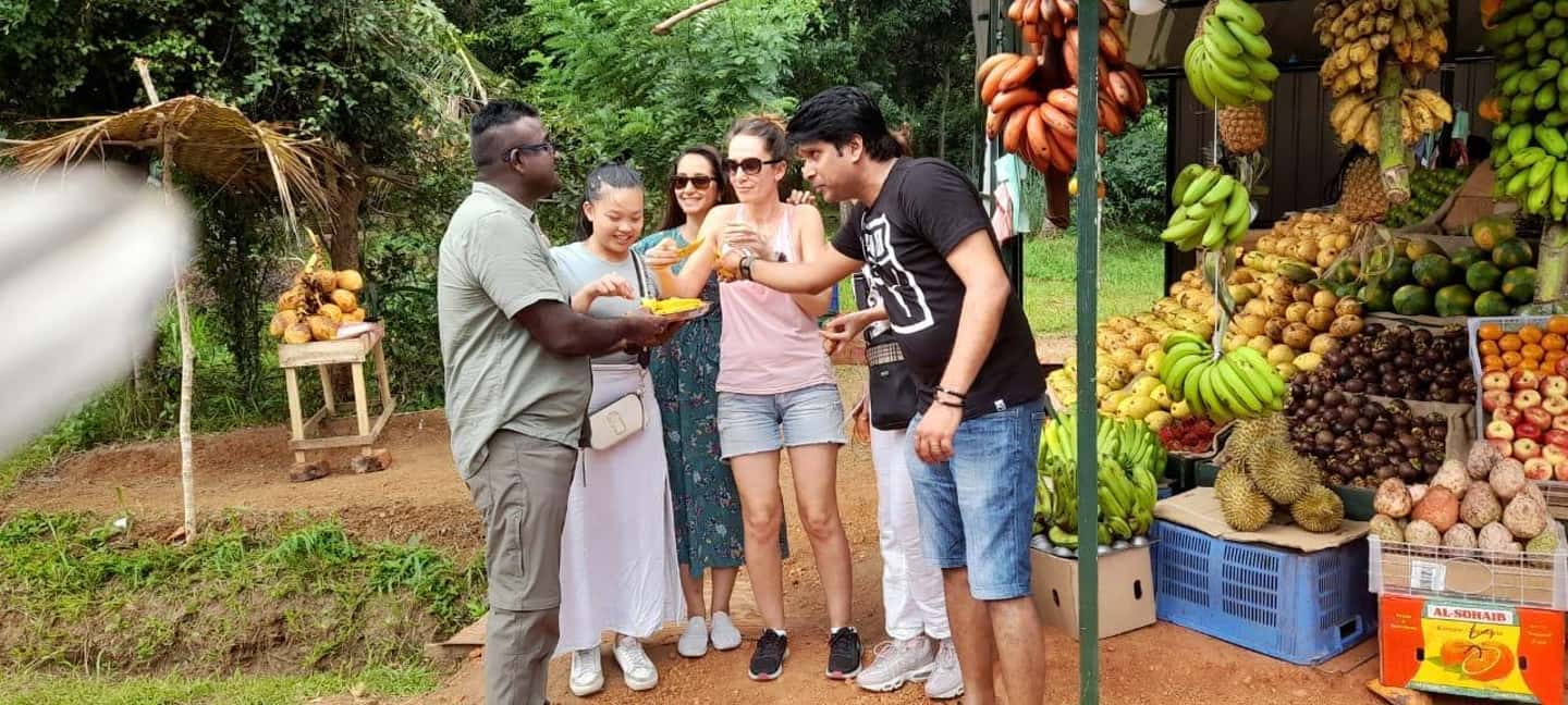 image n.43 of From Colombo: Sigiriya and Dambulla Day Trip and Safari activity in Sigiriya, uploaded by supplier