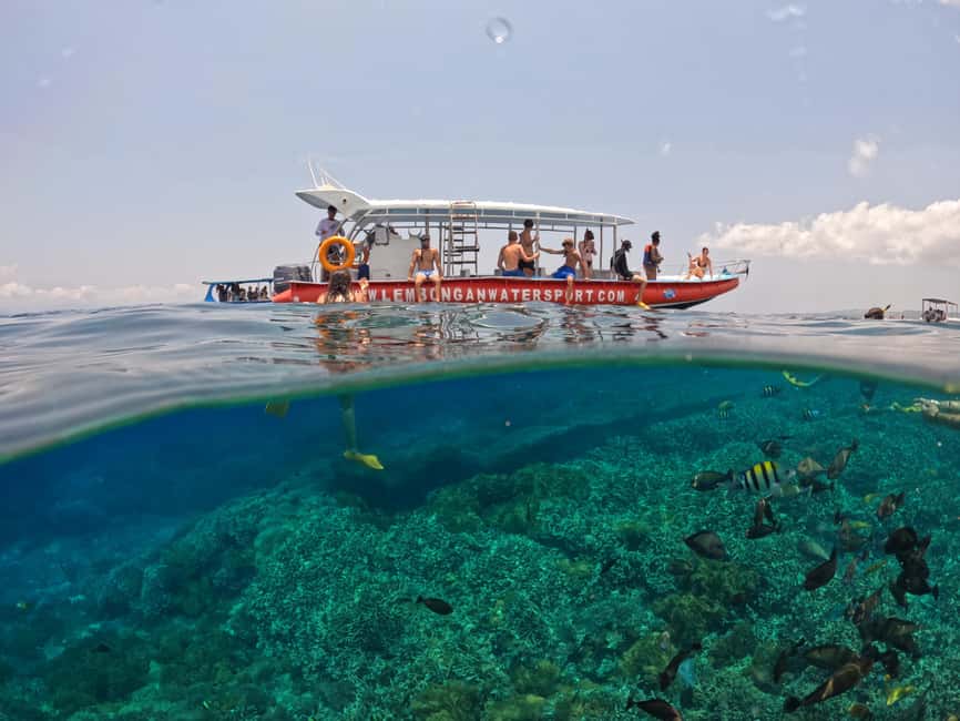 image n.7 of From Bali: Swim with Manta Rays in Nusa Penida activity in Bali, uploaded by supplier
