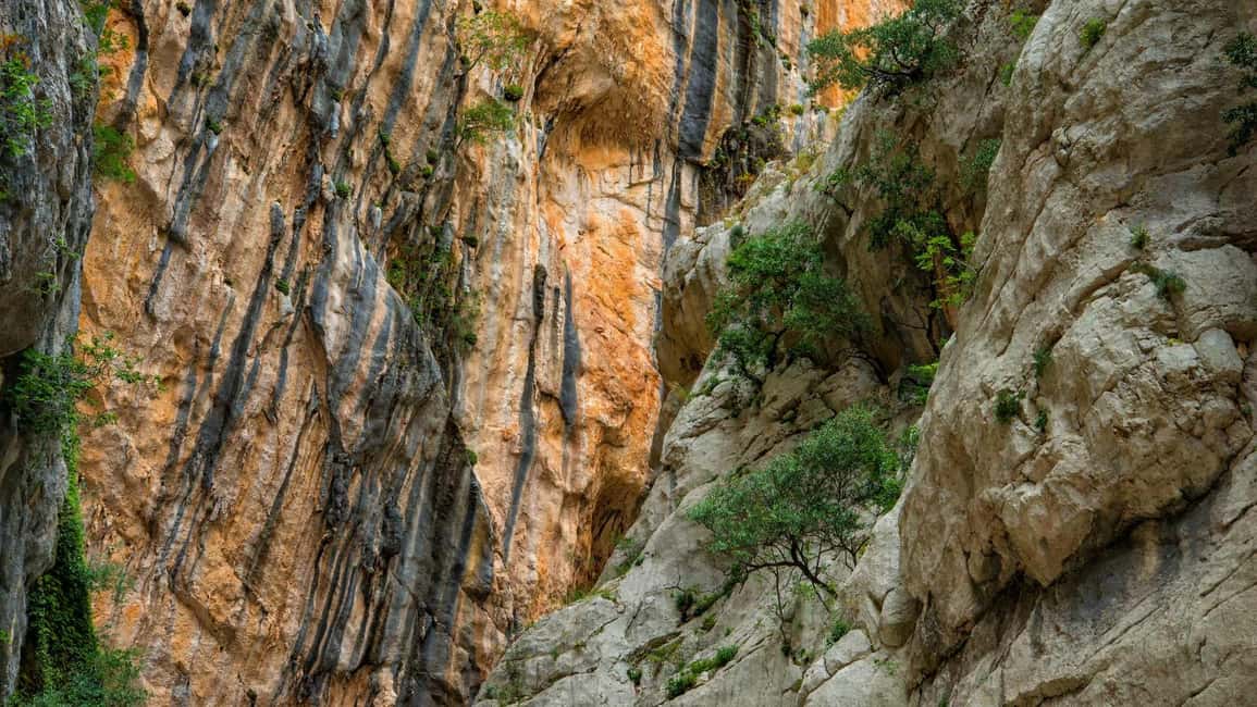 Bild Nr. 7 von Von Cala Gonone aus: Gorropu-Wanderung mit Mittagessen Aktivität in Sardinien, hochgeladen vom Anbieter