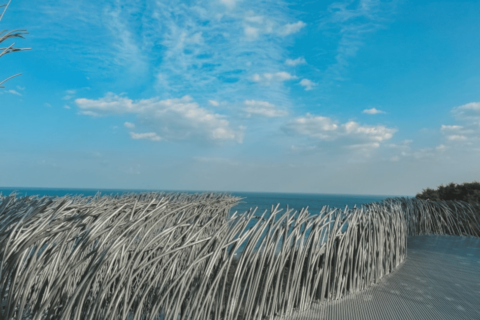 image n.23 of Seoul: Gangneung from K-Pop Band Bus Stop to Anmok Beach activity in Gangneung-si, uploaded by supplier