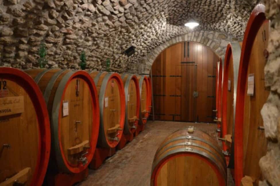 Immagine nº 6 di Da Verona: Tour di mezza giornata per la degustazione di vini Amarone attività a Verona, caricata dal fornitore