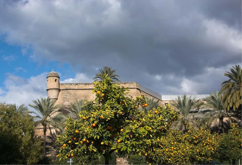 bild nr.9 av Palma de Mallorca: Tur i liten grupp och snabbspårning av katedralen aktivitet i Palma de Mallorca, uppladdad av arrangören